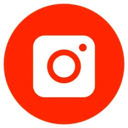 4K Stogram Pro 4.6.3 Instagram 内容下载工具