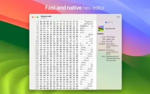 HextEdit 1.0.7 Mac原生十六进制编辑器工作界面