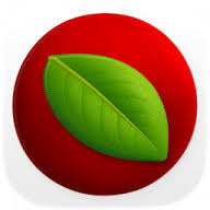 Lingon Pro v10.2.2 Mac版